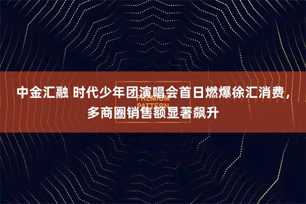 中金汇融 时代少年团演唱会首日燃爆徐汇消费，多商圈销售额显著飙升