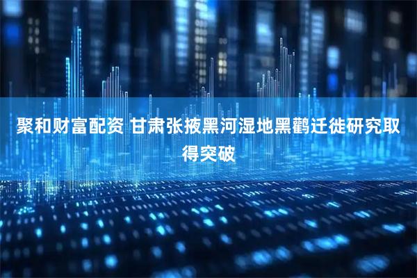 聚和财富配资 甘肃张掖黑河湿地黑鹳迁徙研究取得突破