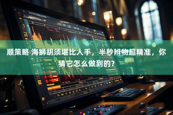 顺策略 海狮胡须堪比人手，半秒辨物超精准，你猜它怎么做到的？
