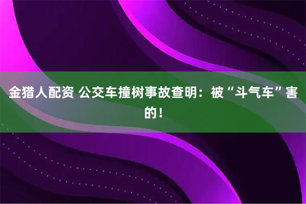 金猎人配资 公交车撞树事故查明：被“斗气车”害的！