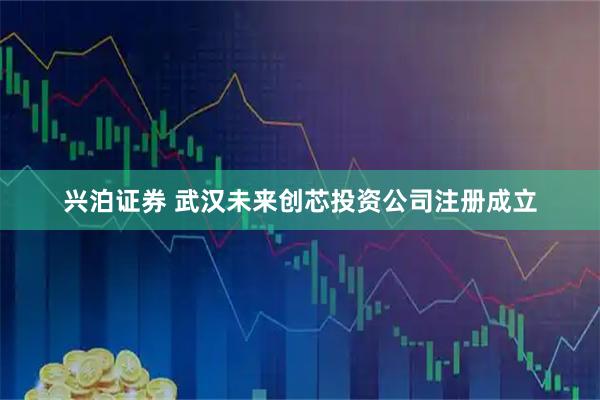 兴泊证券 武汉未来创芯投资公司注册成立